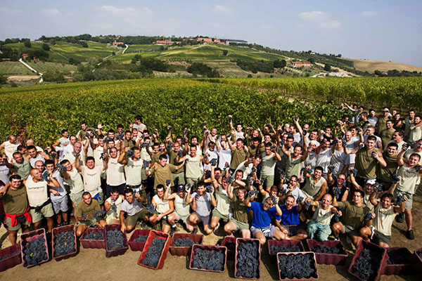SanPa Residents in the vineyards